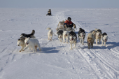 Inuit youth Abel Palluq drives the dogs while his parents Jaipiti and Kanguq ride on the snowmobile out on sea ice. Igloolik. Nunavut. Canada. 2008