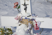 Silk flowers and other pretty things covered in snow, adorn a grave in the cemetery in Igloolik. Nunavut. Canada. 2008