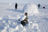 An Inuit boy carrying snow bricks to build an an Igloo out on the frozen sea at Igloolik. Nunavut, Canada. 2008