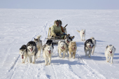 Inuit hunter Jaipiti Palluq and his wife Kanguq travelling by dog sled on a seal hunting trip near Igloolik. Nunavut, Canada. 2008