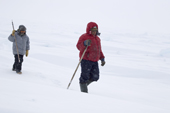 Noah Metuk, an Inuit hunter from Pangnirtung, checking a lead in the sea ice for baby seals. Nunavut, Canada. 2008