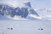 Inuit hunters travelling by snowmobile through tidal ice in Pangnirtung Fiord. Nunavut, Canada. 2008