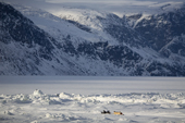 An Inuit hunter travelling by snowmobile through tidal ice in Pangnirtung Fiord. Nunavut, Canada. 2008