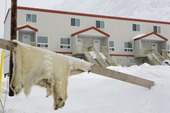 A polar bear skin hanging up to dry outside a modern apartment building in the Inuit community of Pangnirtung. Nunavut, Canada. 2008