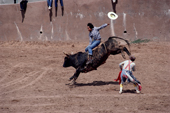 Bull rider lets go of his hat at an open air Rodeo, The clown stands by to distract the Bull. USA
