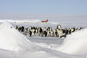 Emperor Penguin colony and the camp with a twin otter plane. Luitpold Coast. East Antarctica