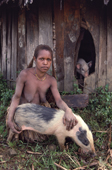 Oropa, a Yali woman from the Seng Valley, with her pigs. Women look after the pigs. Irian Jaya, Indonesia. 1990