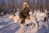 An Evenki woman riding a reindeer in the taiga. Evenkiya, Siberia, Russia. 1997