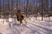 An Evenki woman riding a reindeer in the forest. Evenkiya, Siberia, Russia. 1997