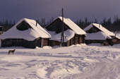 Snow covered wooden houses in the Evenki native village of Surinda, Evenkiya, Siberia, Russia. 1997