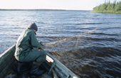 Sasha, a Sami man, checking his fishing nets near Lovozero (Strong Lake). Kola Peninsula, NW Russia. 2005