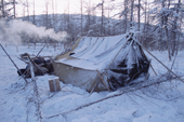 An Even reindeer herders' winter camp in the taiga at dawn. Northern Evensk. Magadan region, Eastern Siberia, Russia. 2006