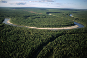 An aerial view of boreal forest (taiga) in summer near Nadym. Yamal, Western Siberia, Russia. 2000