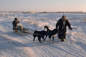 A Nenets woman & child use a dog team to collect ice to melt for drinking water. Yamal, Siberia, Russia.