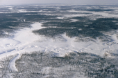 Aerial view of a frozen fiver meandering through snow covered Boreal Forest. Yamal. W. Siberia. Russia.