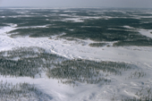 Aerial view of a frozen river meandering through snow covered Boreal Forest. Yamal. W. Siberia. Russia.