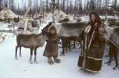 A young Nenets boy pets a reindeer calf at a herders' winter camp in the forest. Yamal, Western Siberia, Russia