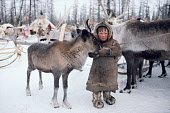 A Nenets boy feeds bread to a reindeer yearling at a winter camp Yamal. Siberia. Russia.
