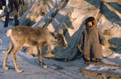 A Nenets boy and a reindeer yearling at a herders' winter camp. Yamal, Western Siberia. Russia.