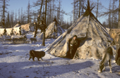 A Nenets woman emerges from her reindeer skin tent at a herders' winter camp. Yamal, Western Siberia, Russia