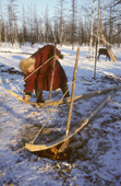 Alexandre Serotetto, a Nenets reindeer herder, bends larch planks into sled runners over a fire. Yamal. Siberia. Russia.