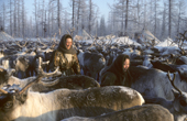 Ludmilla Serotetto (left) and Tania Yaptik, Nenets women, catch draught reindeer in a corral at a herders' winter camp. Yamal, Western Siberia, Russia