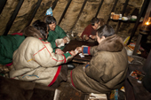 Nenets men playing cards in the evening at a reindeer herder's camp. Tambey, Yamal Peninsula, Western Siberia