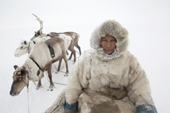 Leonid Tusido, a Nenets reindeer herder, sits on his sled at his winter pastures near Tambey. Yamal Peninsula, Western Siberia, Russia.