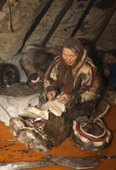 Nyaka, an elderly Nenets woman, using reindeer sinew to sew traditional clothing inside her family's reindeer skin tent.Tambey tundra, Yamal Peninsula, Western Siberia, Russia.