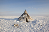 A Nenets herder's winter camp on the tundra near Tambey. Yamal Peninsula, Western Siberia, Russia