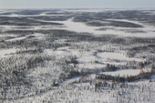 An Aerial view of forest tundra with frozen lakes & rivers in the south of the Yamal Peninsula. Western Siberia, Russia
