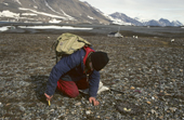 Louis Nielsen marking an Eider duck nest. Eholmen Island, Spitsbergen.